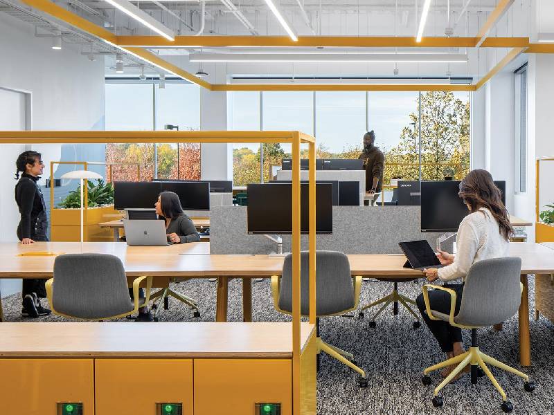 Transform Your Workspace: Areas to Redesign in Your Office This Year
